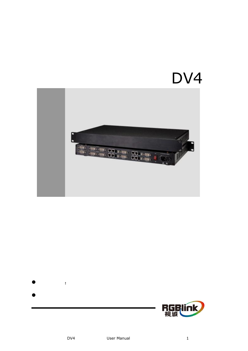 RGBLink DV4 User Manual User Manual | 31 pages