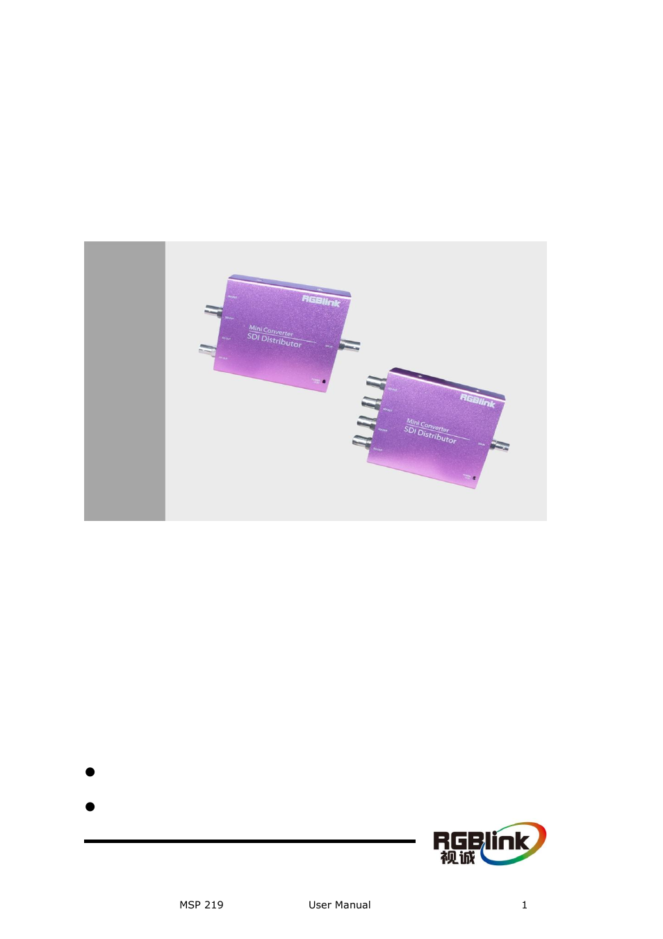 RGBLink MSP 219 User Manual User Manual | 31 pages