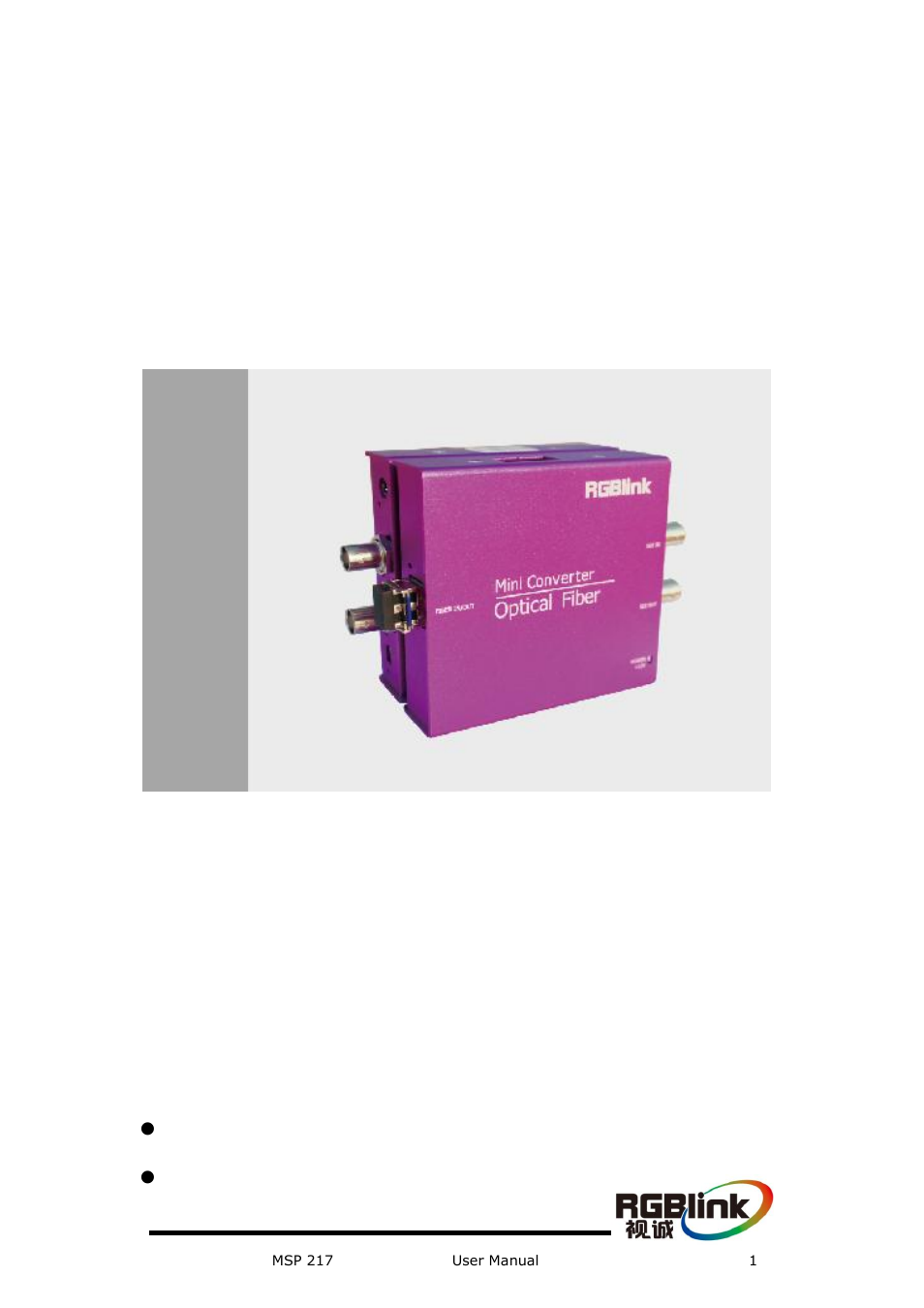 RGBLink MSP 217 User Manual User Manual | 32 pages