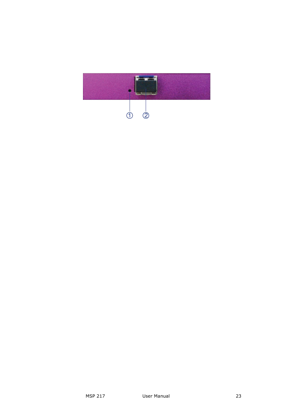Indicator, Fiber output, Hardware orientation | RGBLink MSP 217 User Manual User Manual | Page 23 / 32