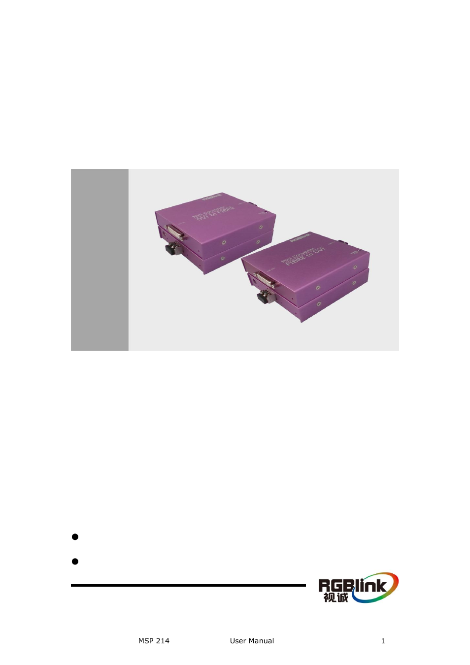 RGBLink MSP 214 User Manual User Manual | 31 pages