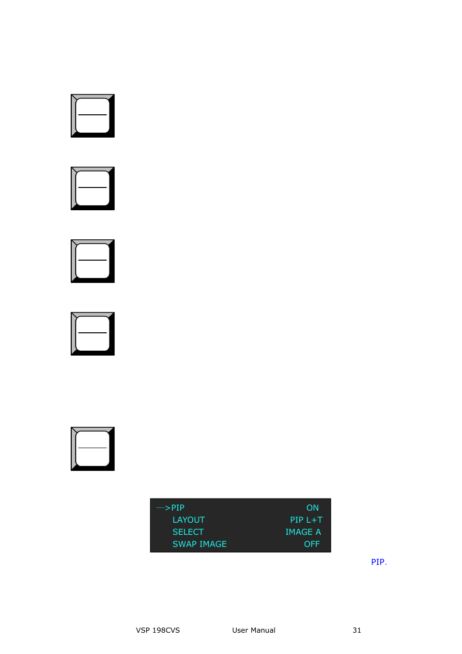 Function, Hardware orientation | RGBLink VSP 198CVS User Manual User Manual | Page 31 / 122