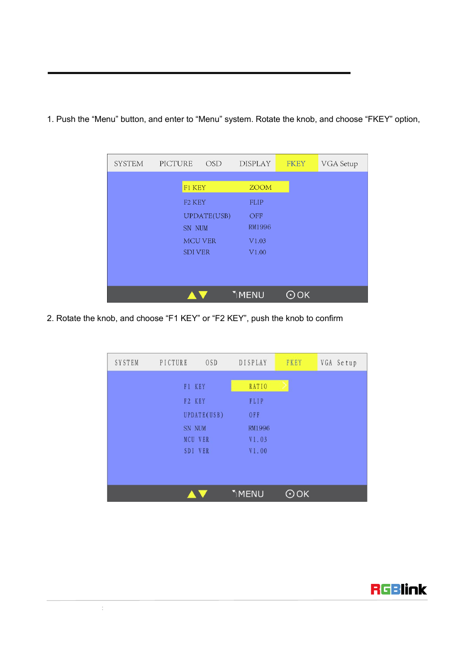 How to use user defined function key | RGBLink RMS 5533 Quick Start User Manual | Page 18 / 20
