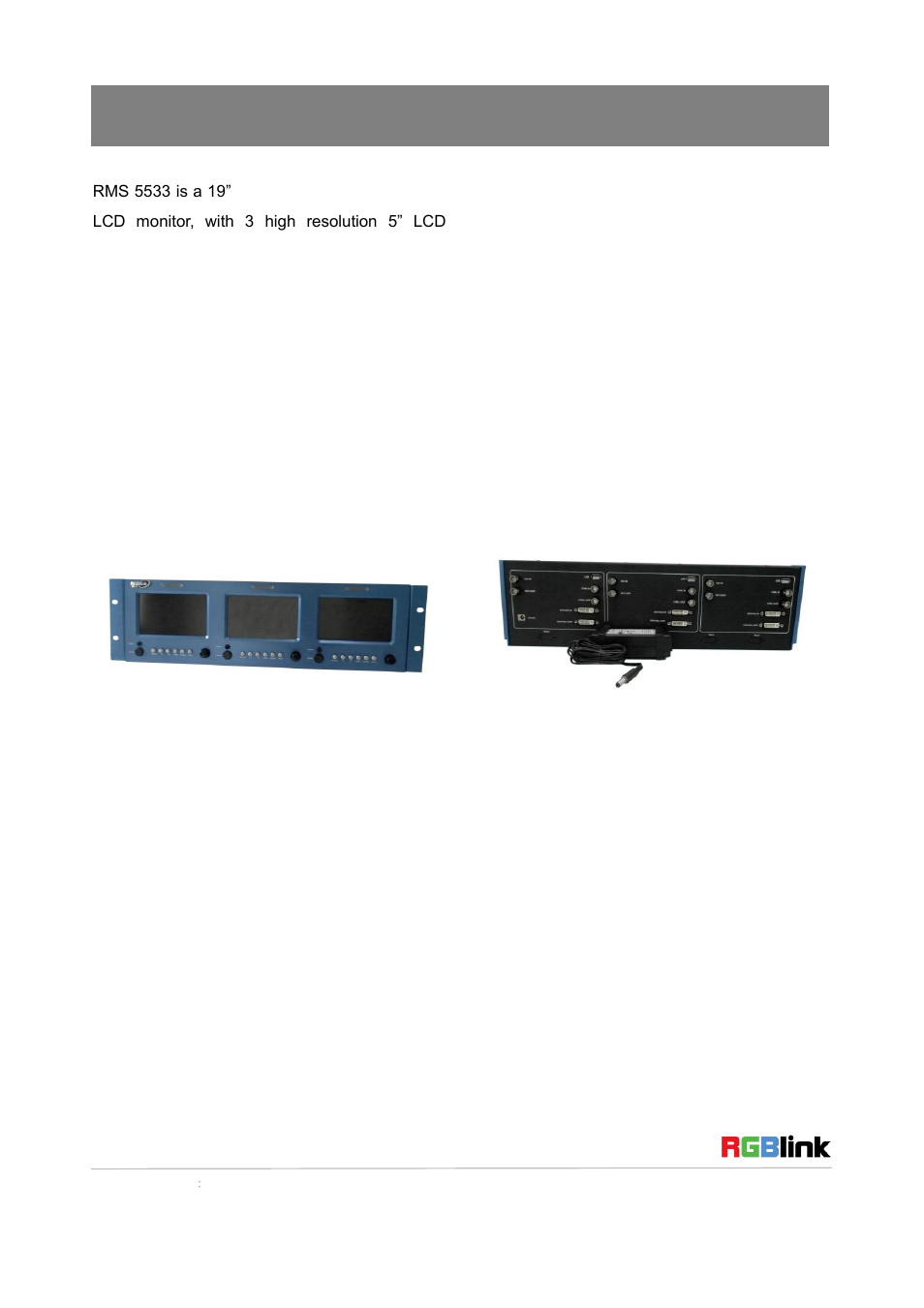 Product introduction | RGBLink RMS 5533 Quick Start User Manual | Page 3 / 20