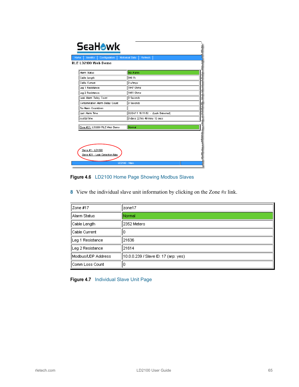 RLE LD2100 V.2.6 User Manual | Page 65 / 92