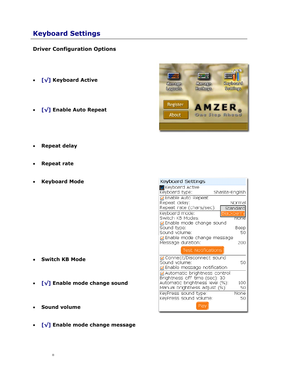 Keyboard settings, Driver configuration options, River | Onfiguration, Ptions | Cingular Amzer Smart Keyboard User Manual | Page 23 / 37