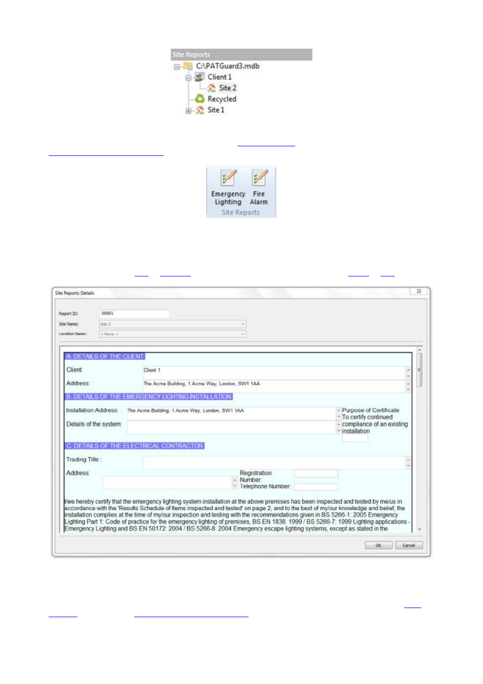 Emergency lighting site report, Editing an emergency lighting site report | Seaward PATGuard 3 User Manual | Page 95 / 153