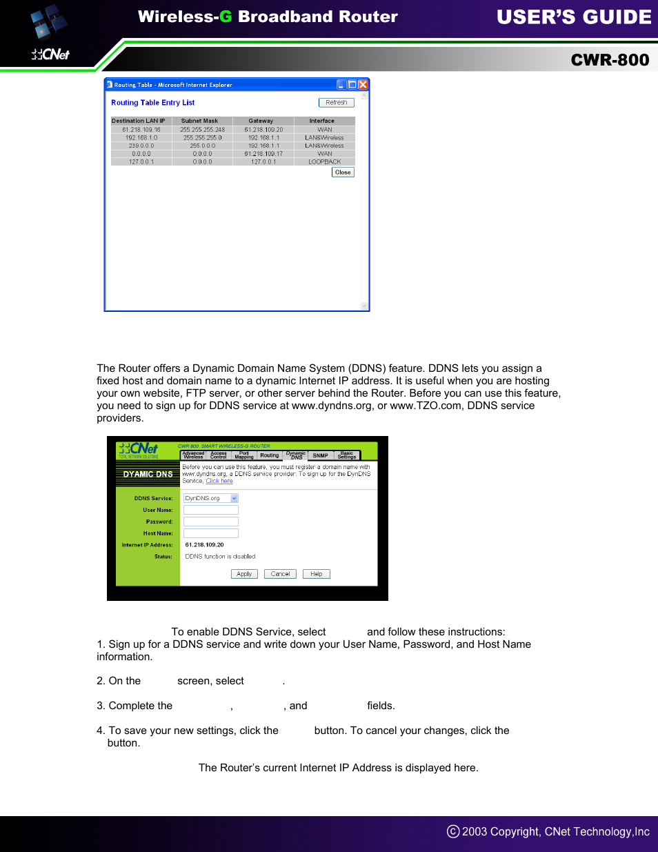 Dynamic dns | CNet Technology CWR-800 User Manual | Page 49 / 51