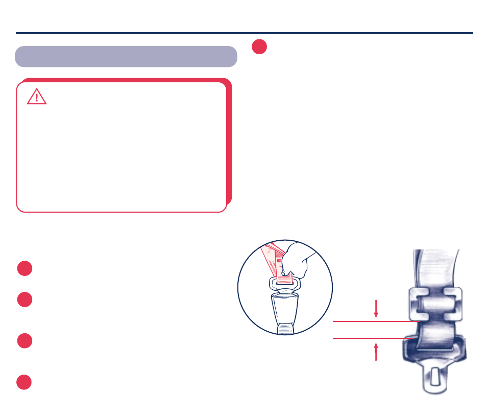 Warning, Vehicle seat belts | Century Accel SE 5-Point 45100 User Manual | Page 21 / 28