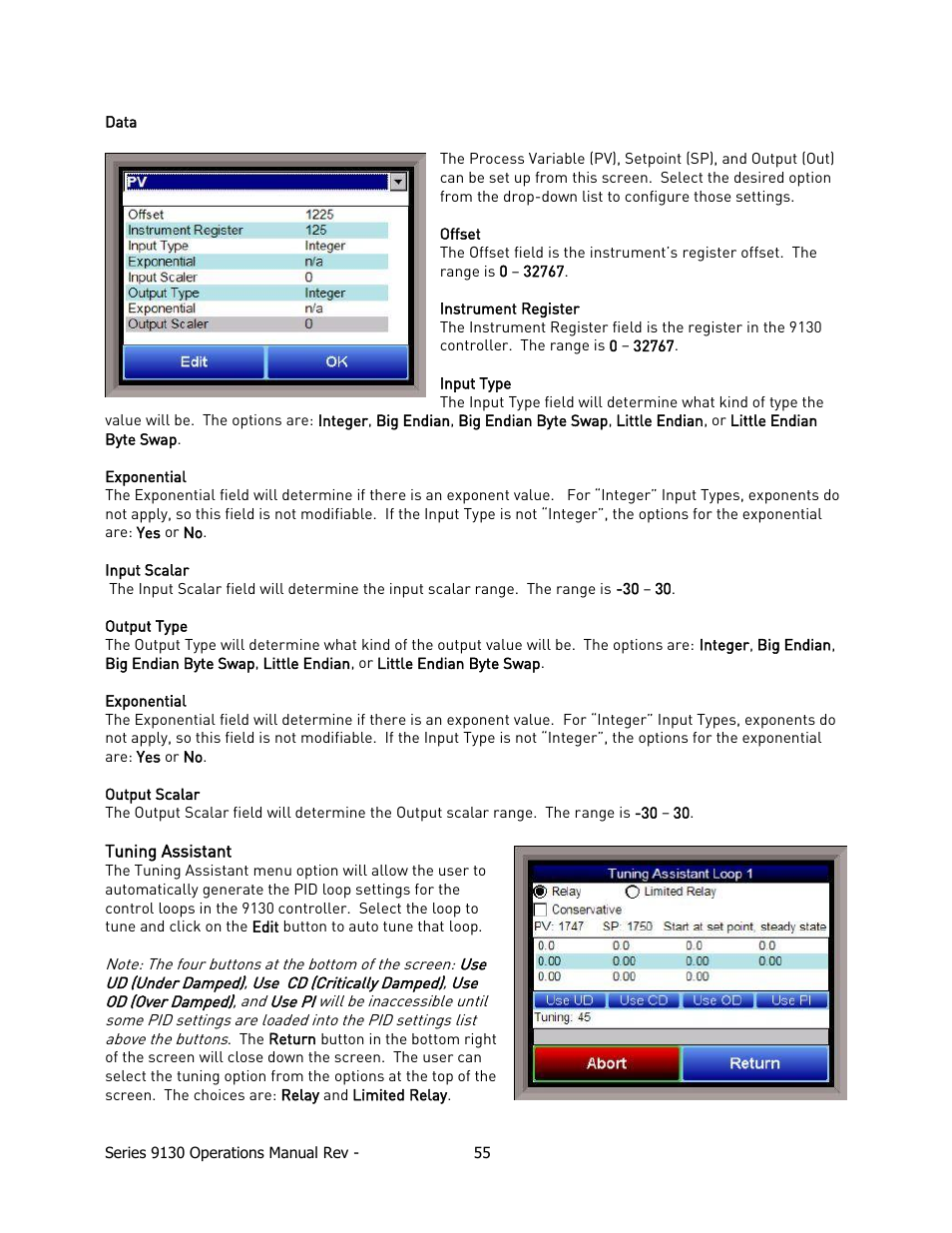 Tuning assistant | Super Systems 9130 Series User Manual | Page 56 / 174
