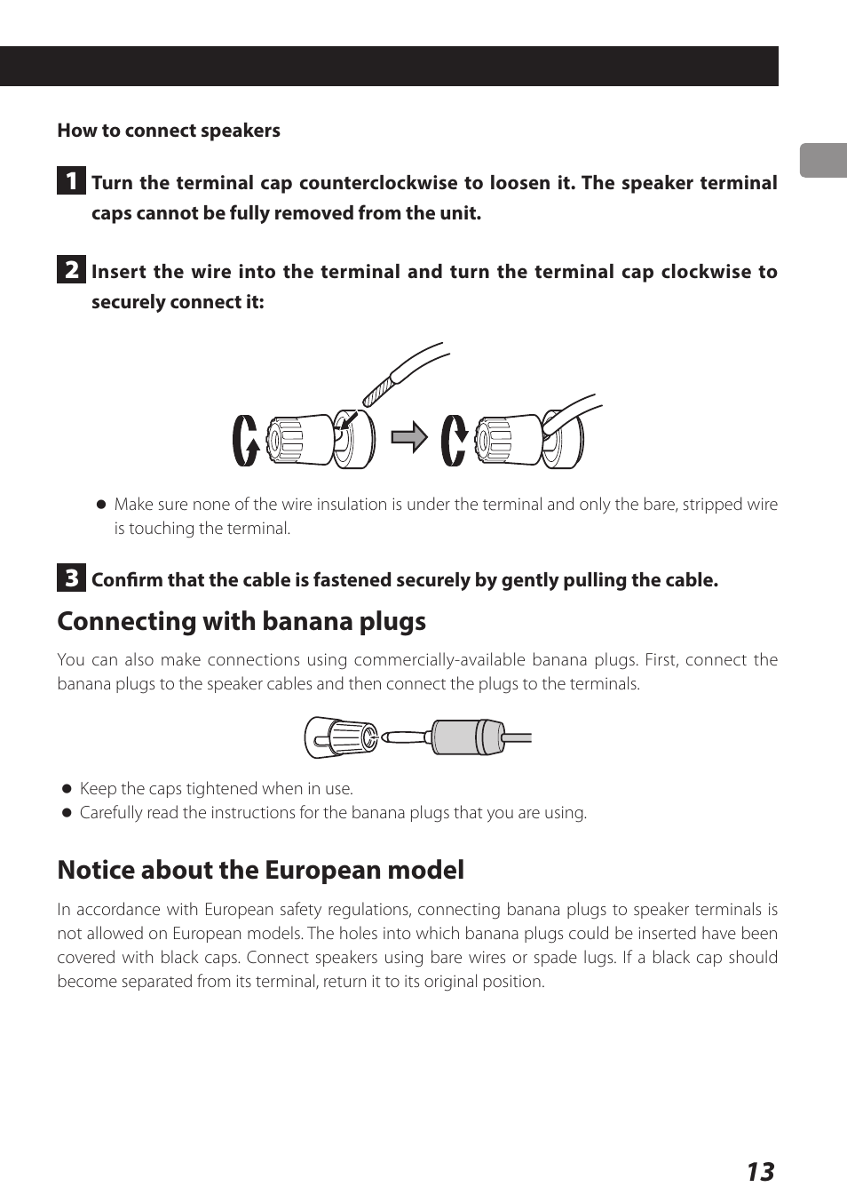 Connecting with banana plugs, Notice about the european model | Teac AI-301DA User Manual | Page 13 / 80