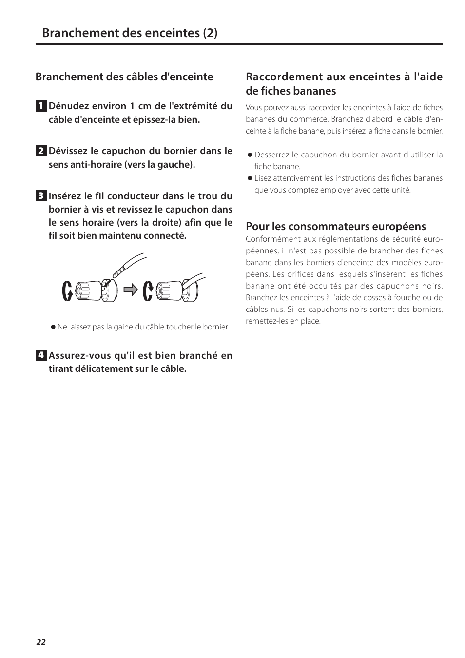 Branchement des enceintes (2), Branchement des câbles d'enceinte, Pour les consommateurs européens | Teac AX-501 User Manual | Page 22 / 48