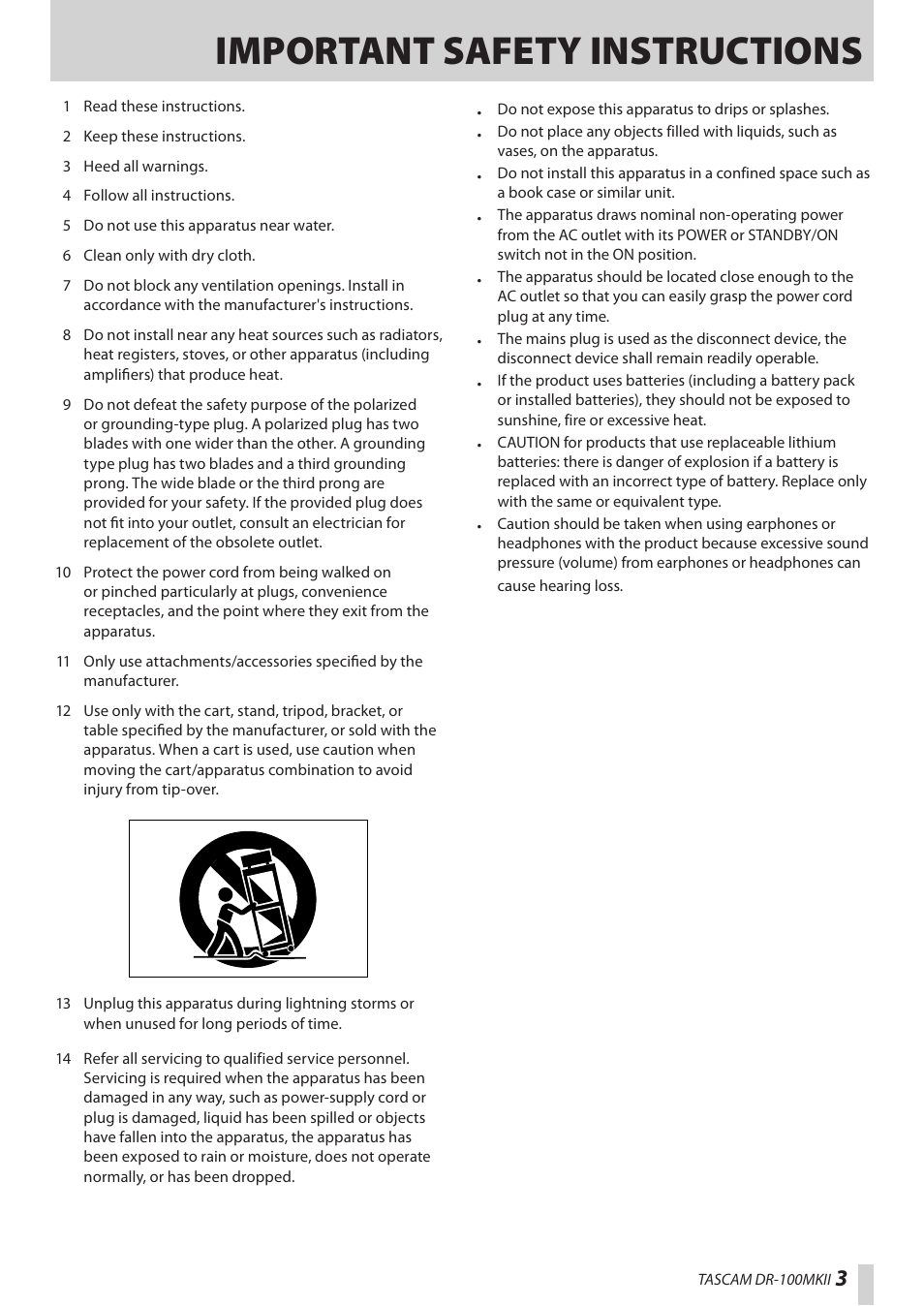 Important safety instructions | Teac DR-100MKII User Manual | Page 3 / 60