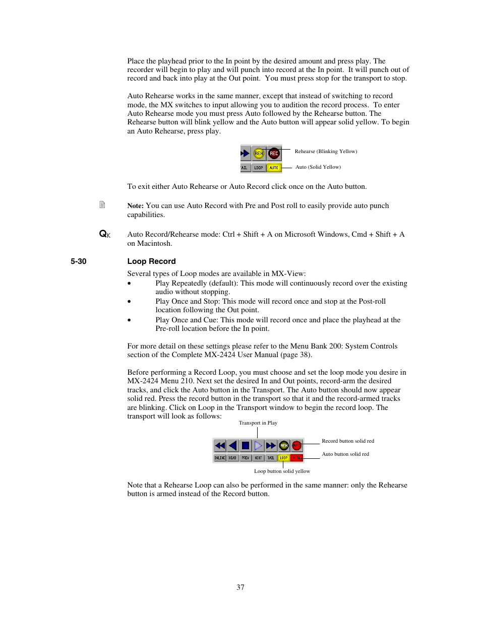 Loop record | Teac MX-View Version 1.0b1 User Manual | Page 37 / 92