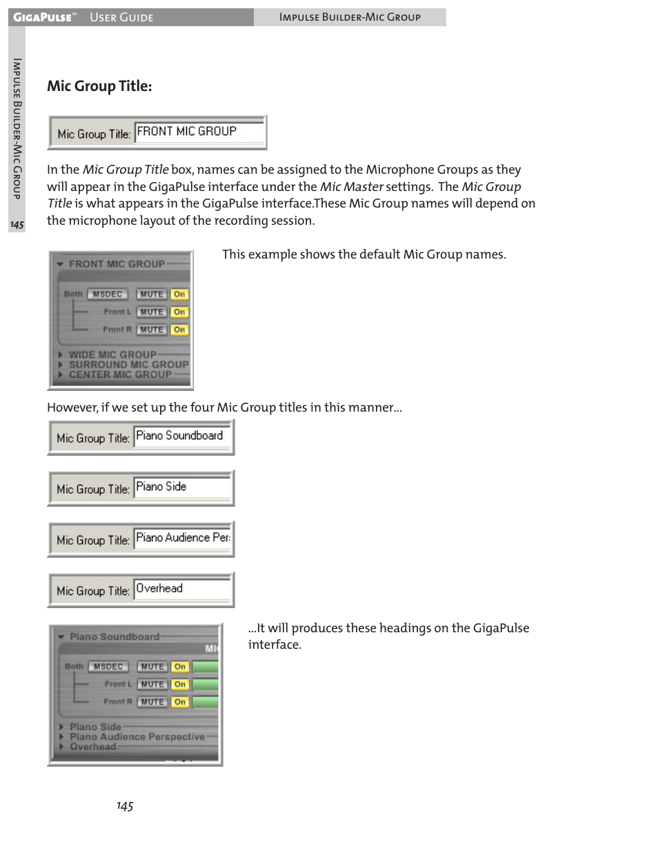 Mic group title | Teac GigaPulse User Manual | Page 145 / 191