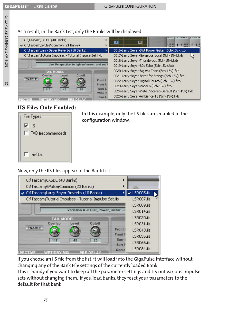 Iis files only enabled | Teac GigaPulse User Manual | Page 75 / 191