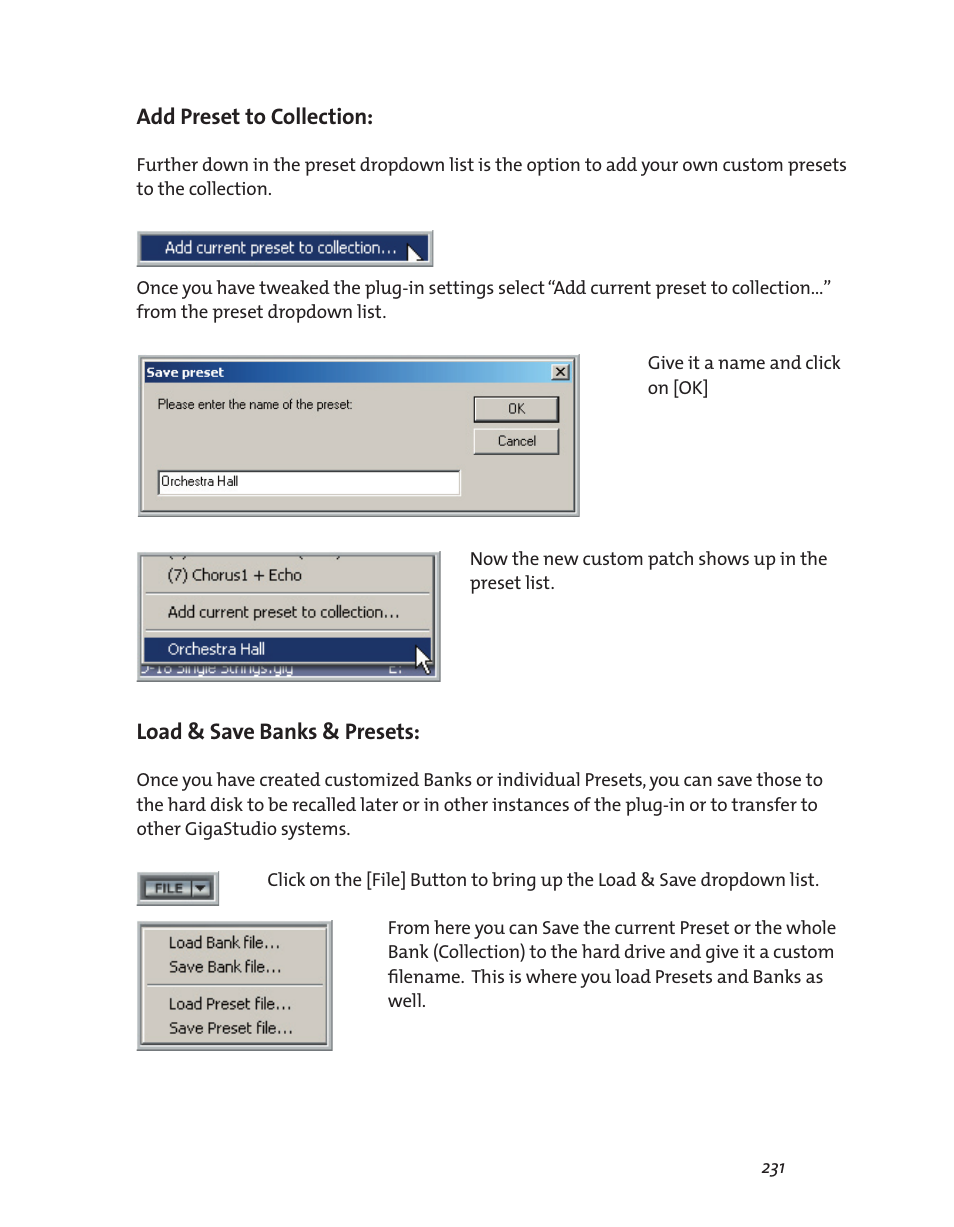 Add preset to collection, Load & save banks & presets | Teac GigaStudio 3 User Manual | Page 231 / 301