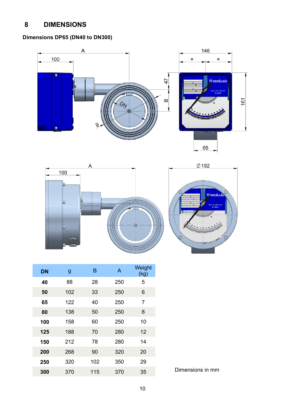 Dimensions | Tecfluid DP Series User Manual | Page 10 / 12