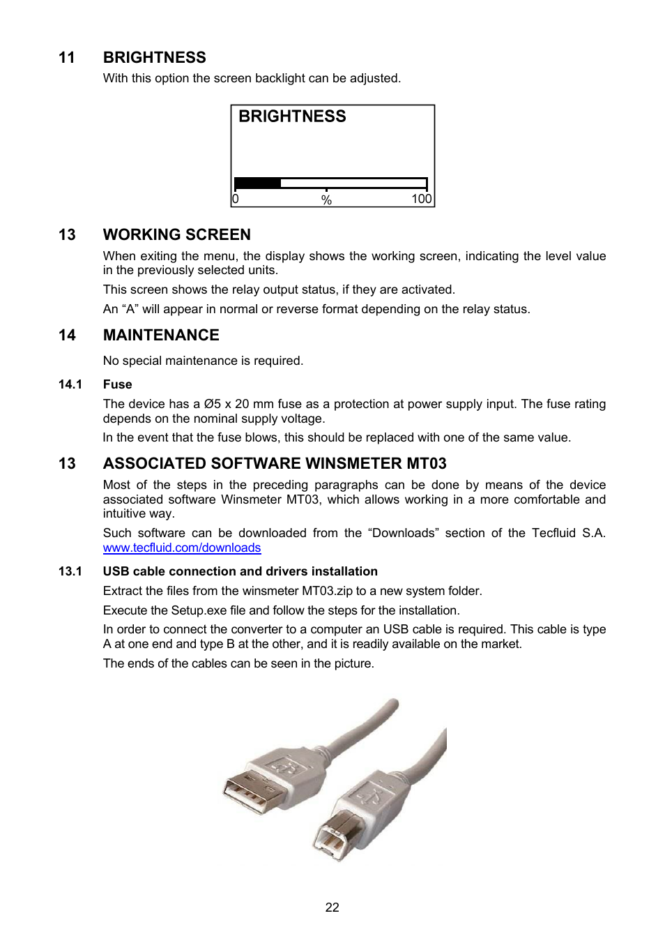 Brightness, Working screen, Maintenance | 1 fuse, Associated software winsmeter mt03, 1 usb cable connection and drivers installation | Tecfluid MT03L User Manual | Page 22 / 32