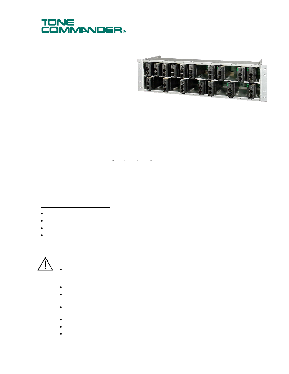 Teo NT1B-300 Rack User Manual | 8 pages