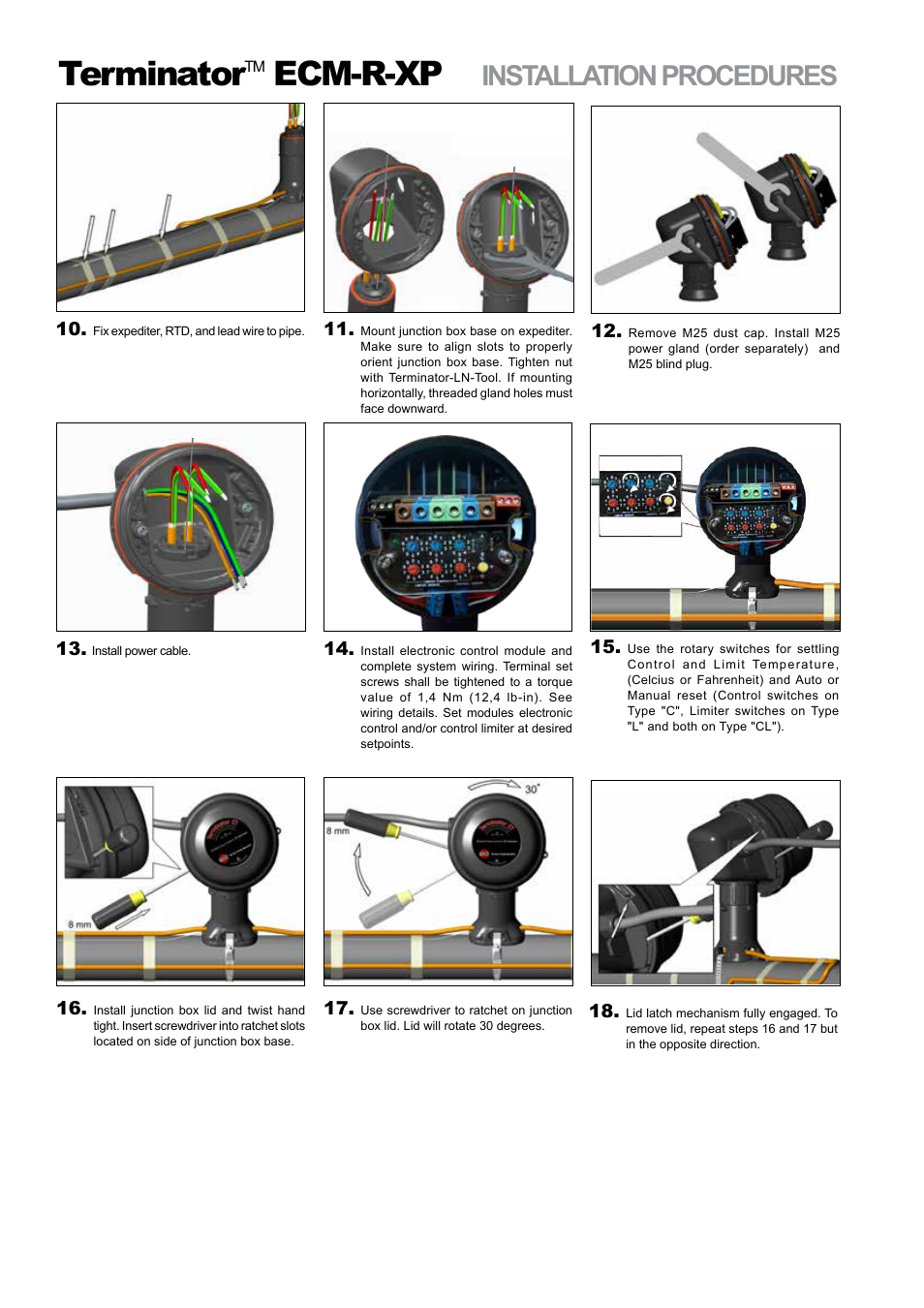 Terminator, Ecm-r-xp, Installation procedures | Thermon ECM-R-XP User Manual | Page 4 / 8