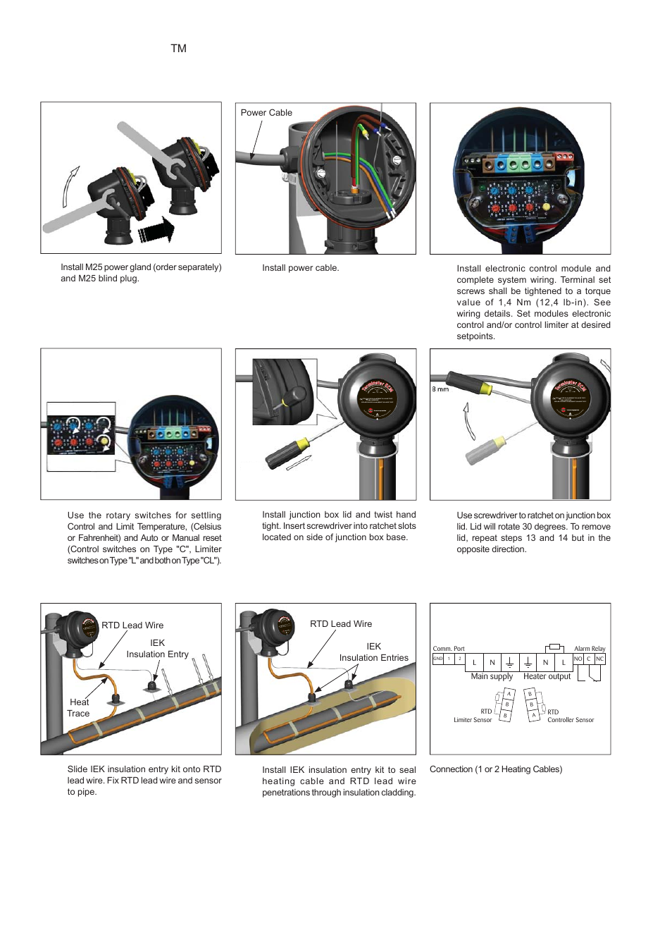 Terminator, Ecm-p-wp, Installation procedures | Wiring details | Thermon ECM-P-WP User Manual | Page 4 / 8