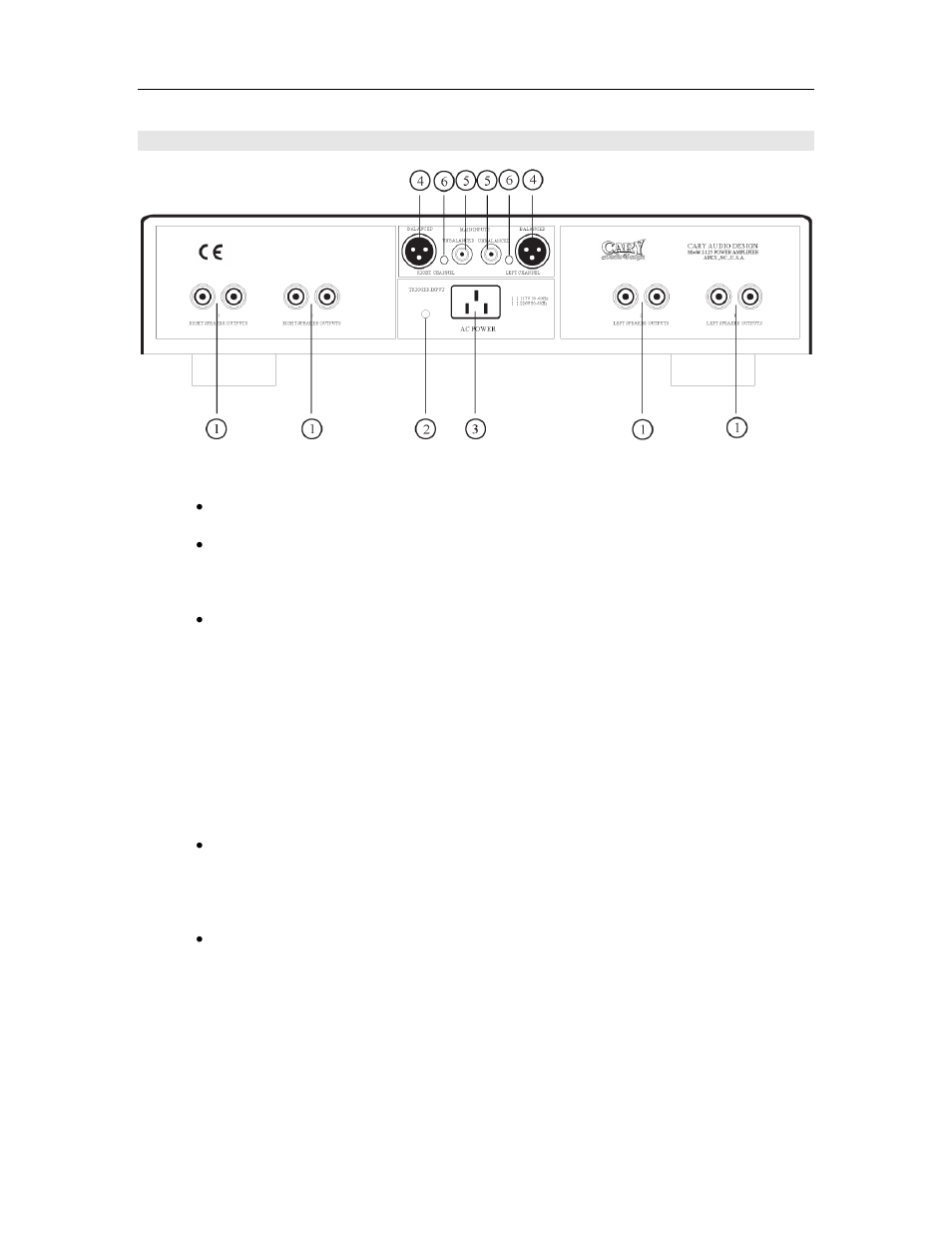 Controls and displays | Cary Audio Design Full Balanced Power Amplifier 2.125 User Manual | Page 10 / 14