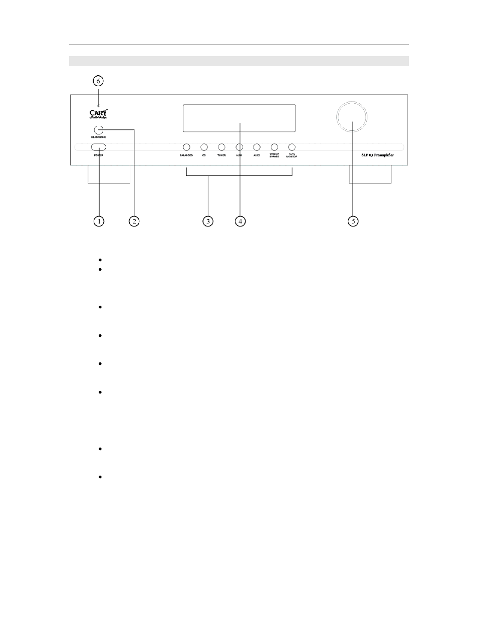 Controls and displays | Cary Audio Design SLP 03 User Manual | Page 10 / 16