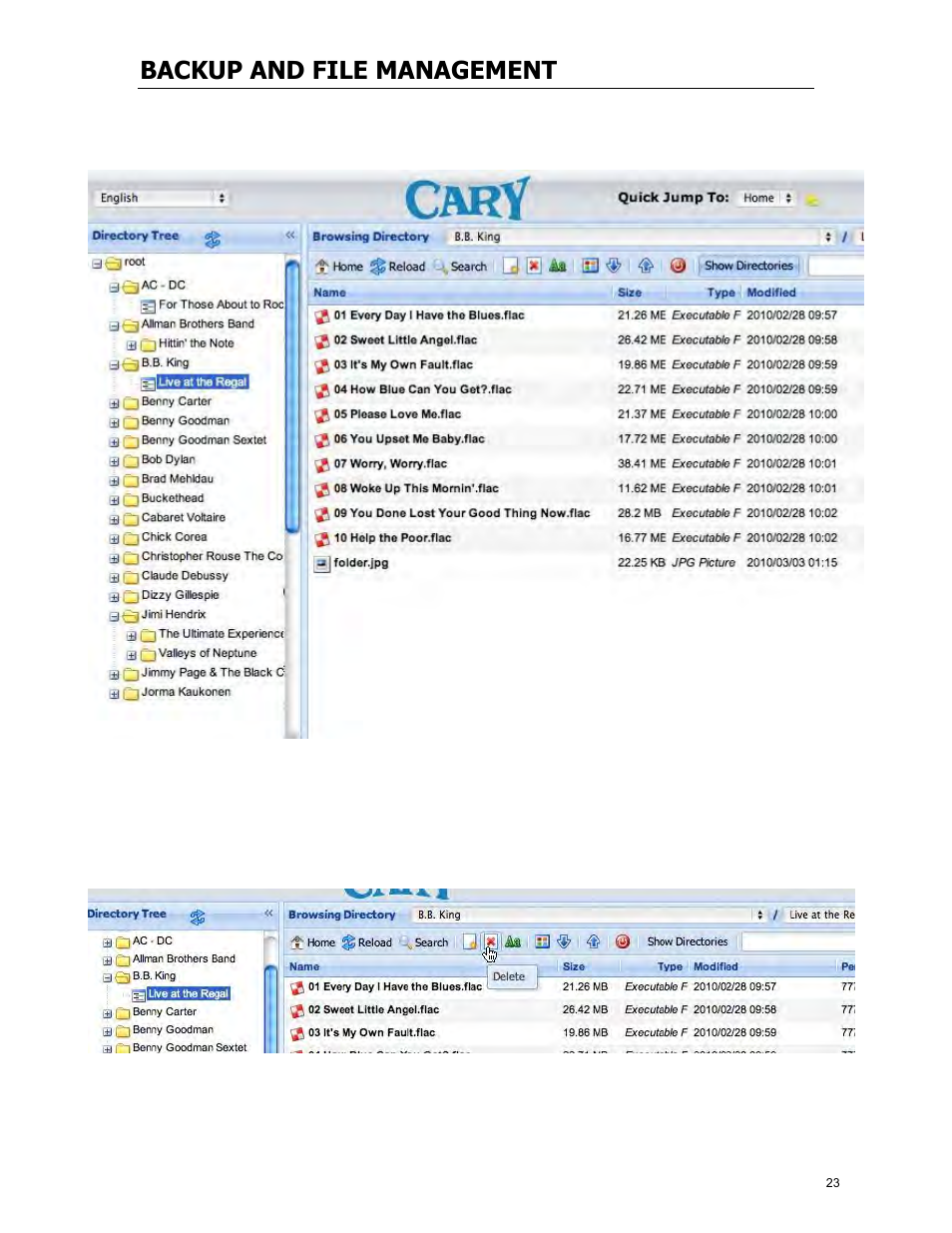 Backup and file management | Cary Audio Design MS-1 User Manual | Page 24 / 63