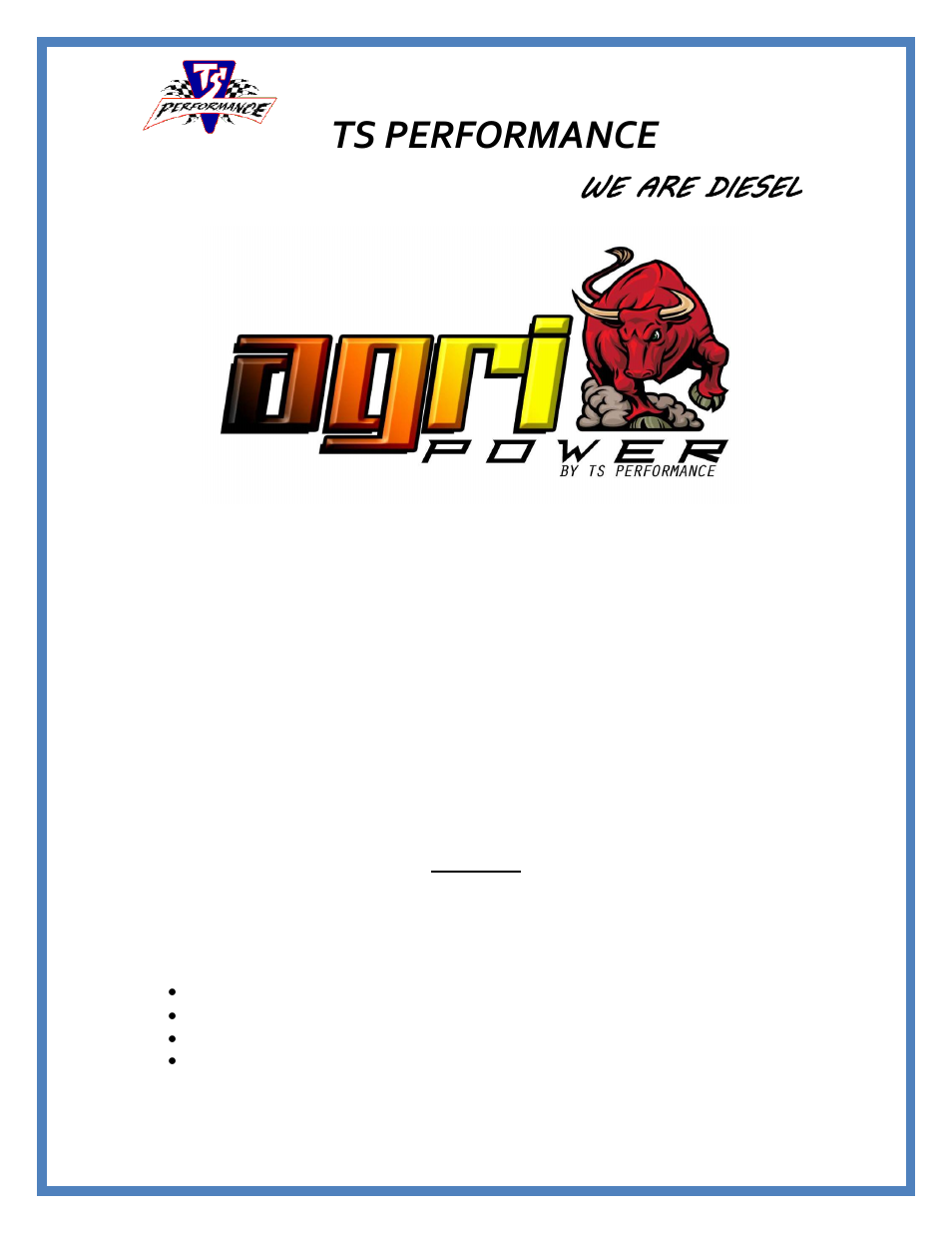 TS Performance 3111201 User Manual | 4 pages