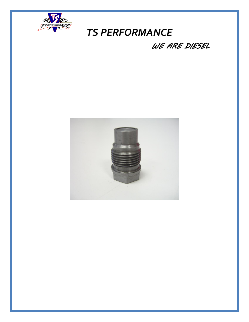 TS Performance Bosch CR Fuel Plug User Manual | 4 pages