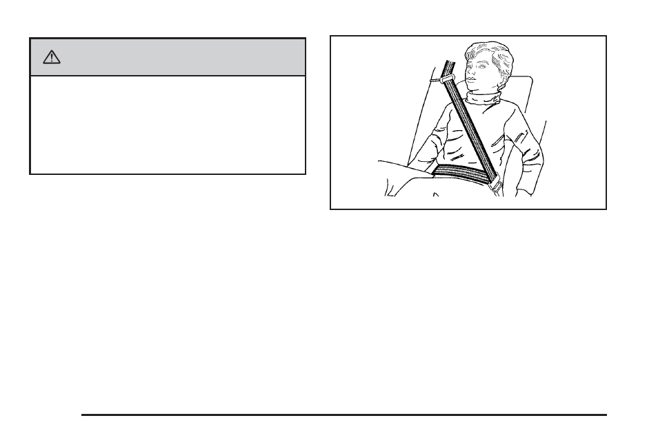 Caution | Cadillac 2009 STS-V User Manual | Page 30 / 514