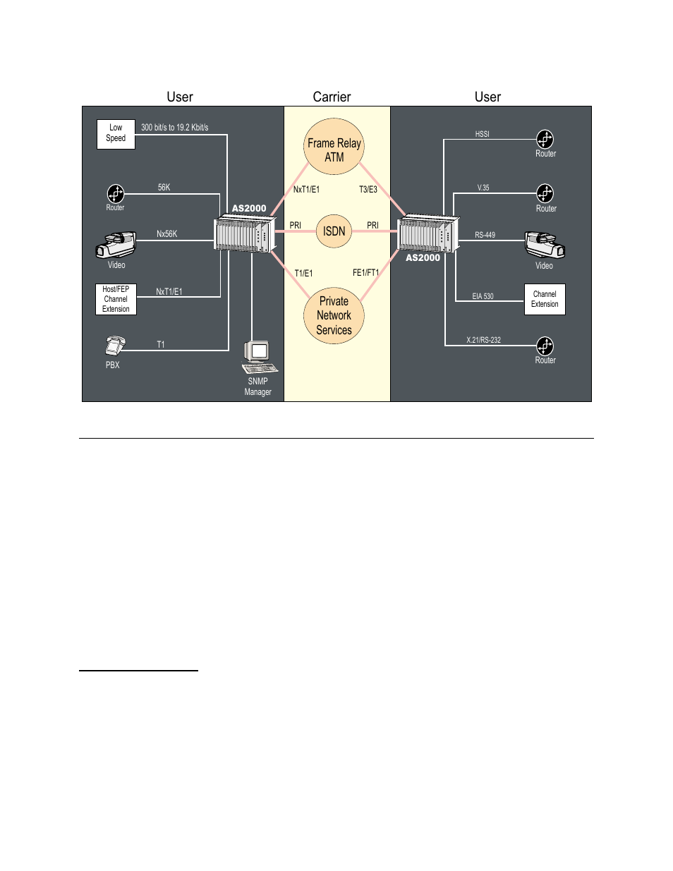 As2000 system, Shelf units, As2000 system -2 | Shelf units -2, User, Carrier, Private network services frame relay atm isdn | Verilink AS2000: The Basics (880-502981-001) Product Manual User Manual | Page 12 / 179