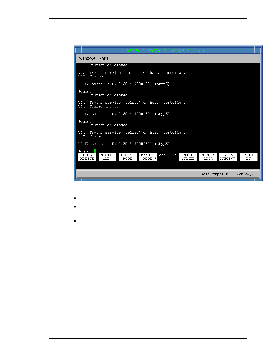 Figure 12. display console window | Visara Master Console Center Operations Guide User Manual | Page 31 / 80