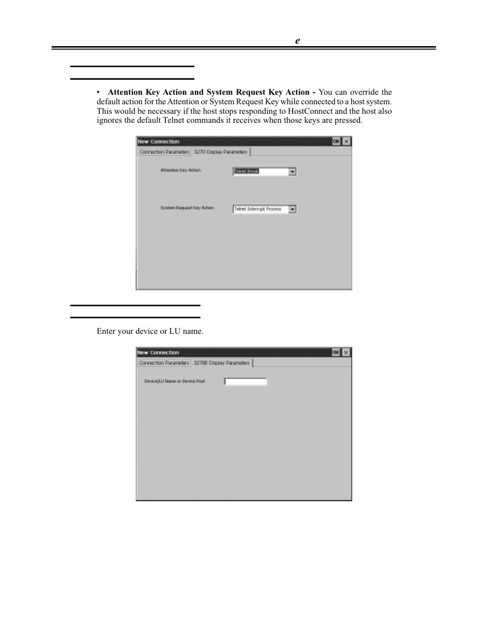 Display parameters, tn3270, Display parameters, tn3270e | Visara eTerm 300 User Manual | Page 43 / 64