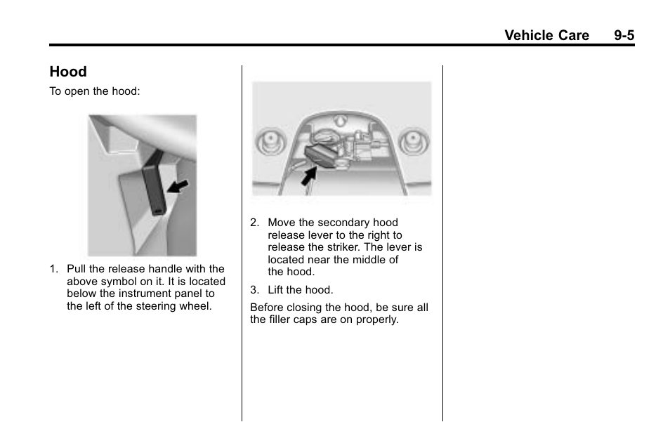 Hood, Hood -5 | Cadillac 2010 SRX Crossover User Manual | Page 309 / 470