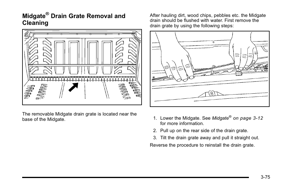 Midgate, Drain grate removal and cleaning | Cadillac 2010 Escalade EXT User Manual | Page 177 / 580