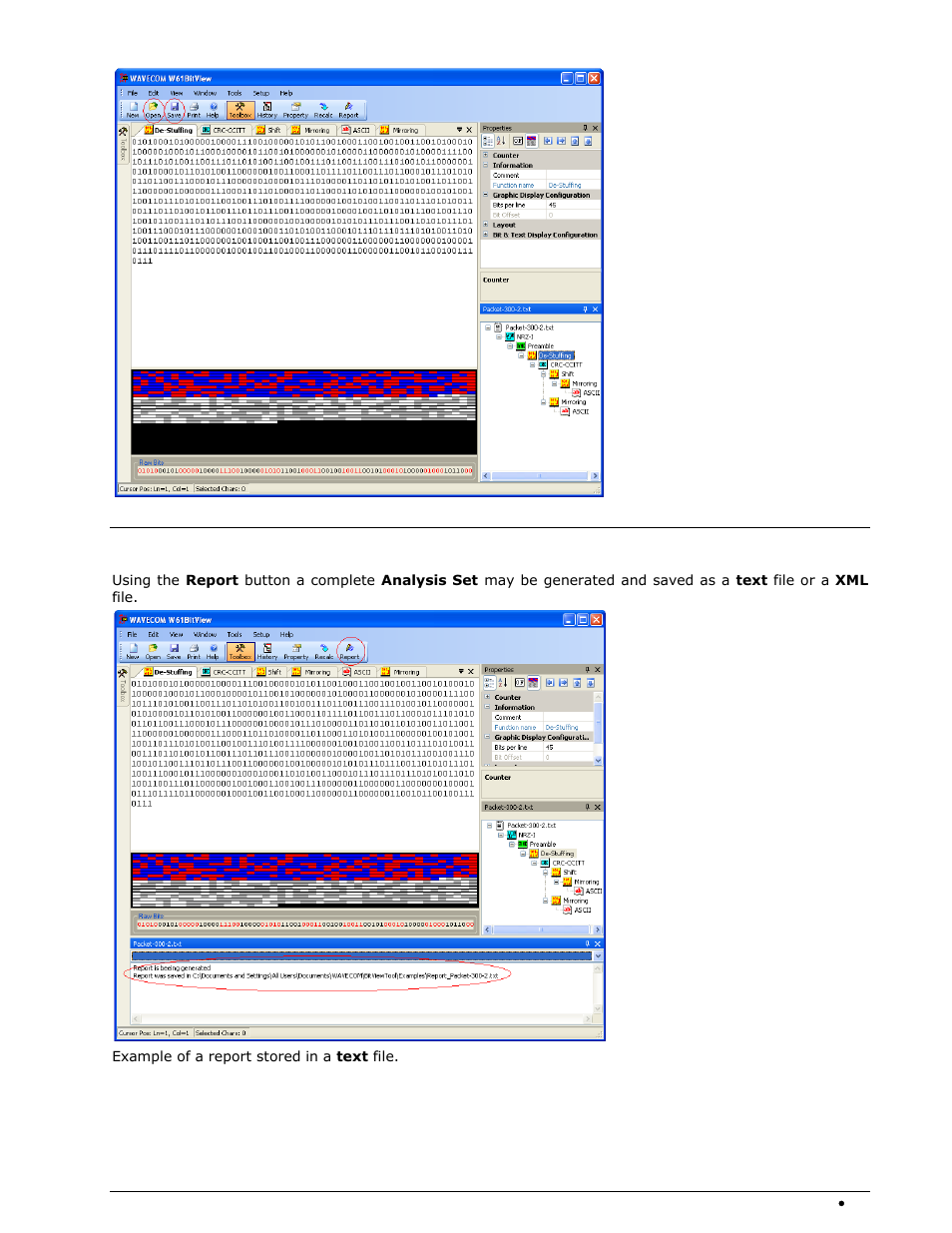 Reports | Wavecom W-BitView V2.5.00 User Manual | Page 21 / 102