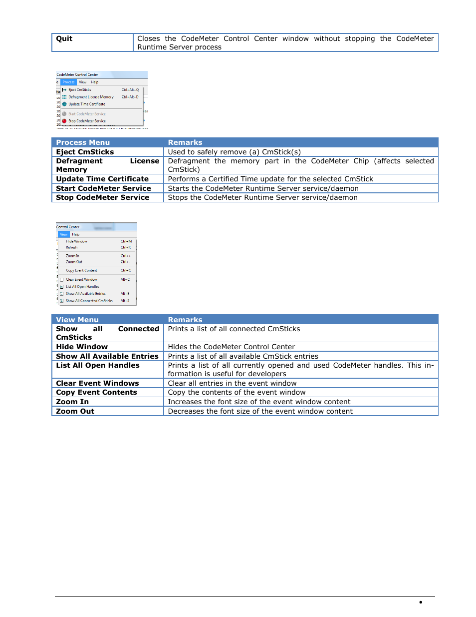 Codemeter process, Codemeter view | Wavecom W-BitView V2.5.00 User Manual | Page 87 / 102