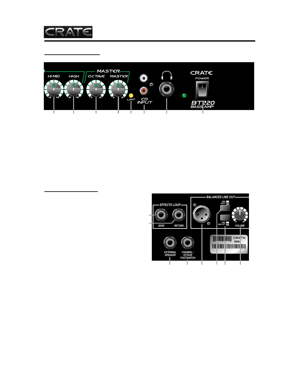 Bt220, The rear panel, The front panel | Bass amplifier | Crate Amplifiers BT220 User Manual | Page 5 / 20