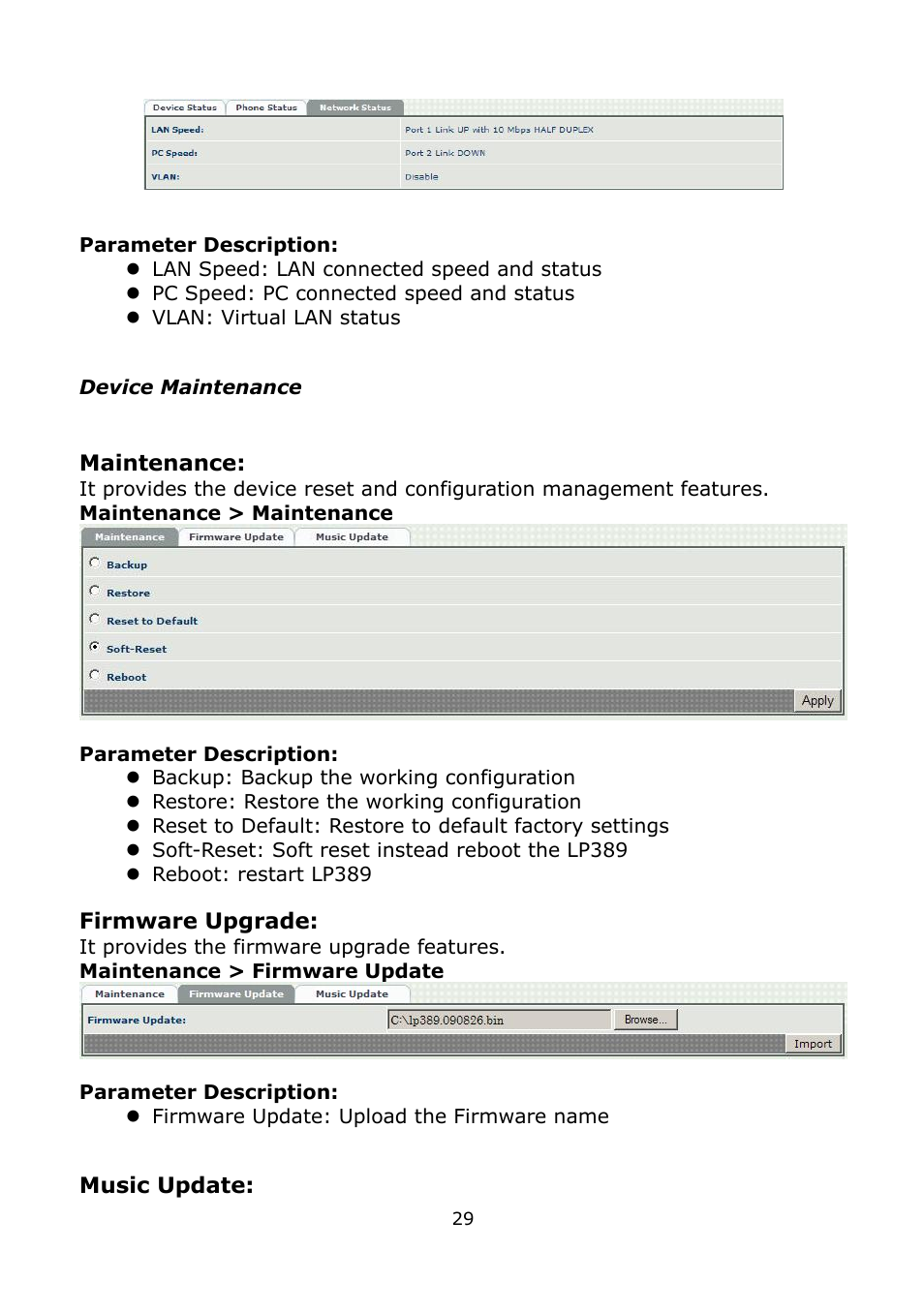 Device maintenance | Welltech LP-389 v.1.06 Administrator Guide User Manual | Page 29 / 31