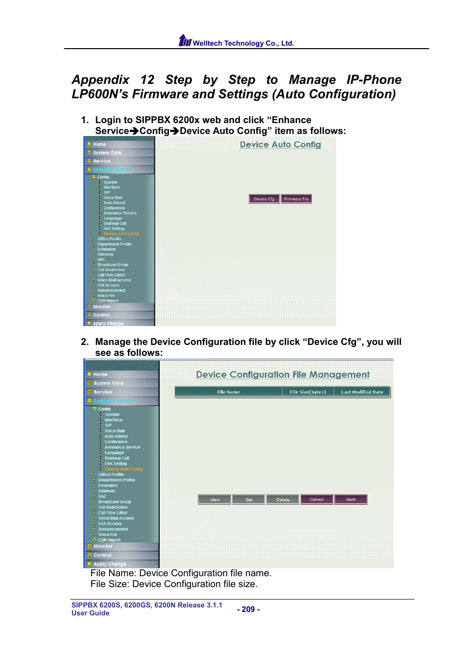 Settings (auto configuration) | Welltech SIPPBX 6200 V.3.1.1 User Manual | Page 209 / 214