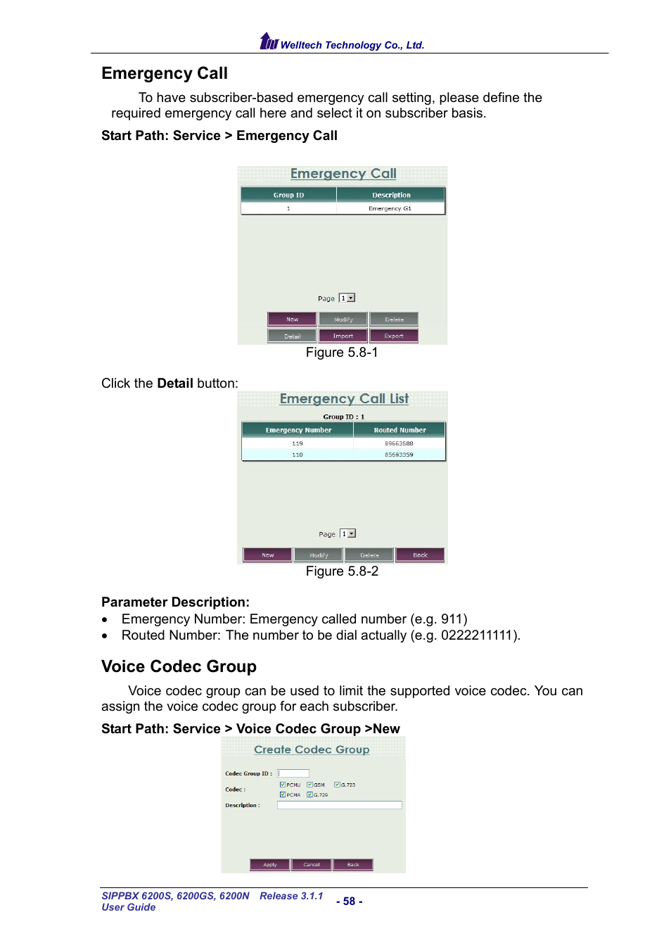 Emergency call, Voice codec group, Mergency | Oice, Odec, Roup | Welltech SIPPBX 6200 V.3.1.1 User Manual | Page 58 / 214