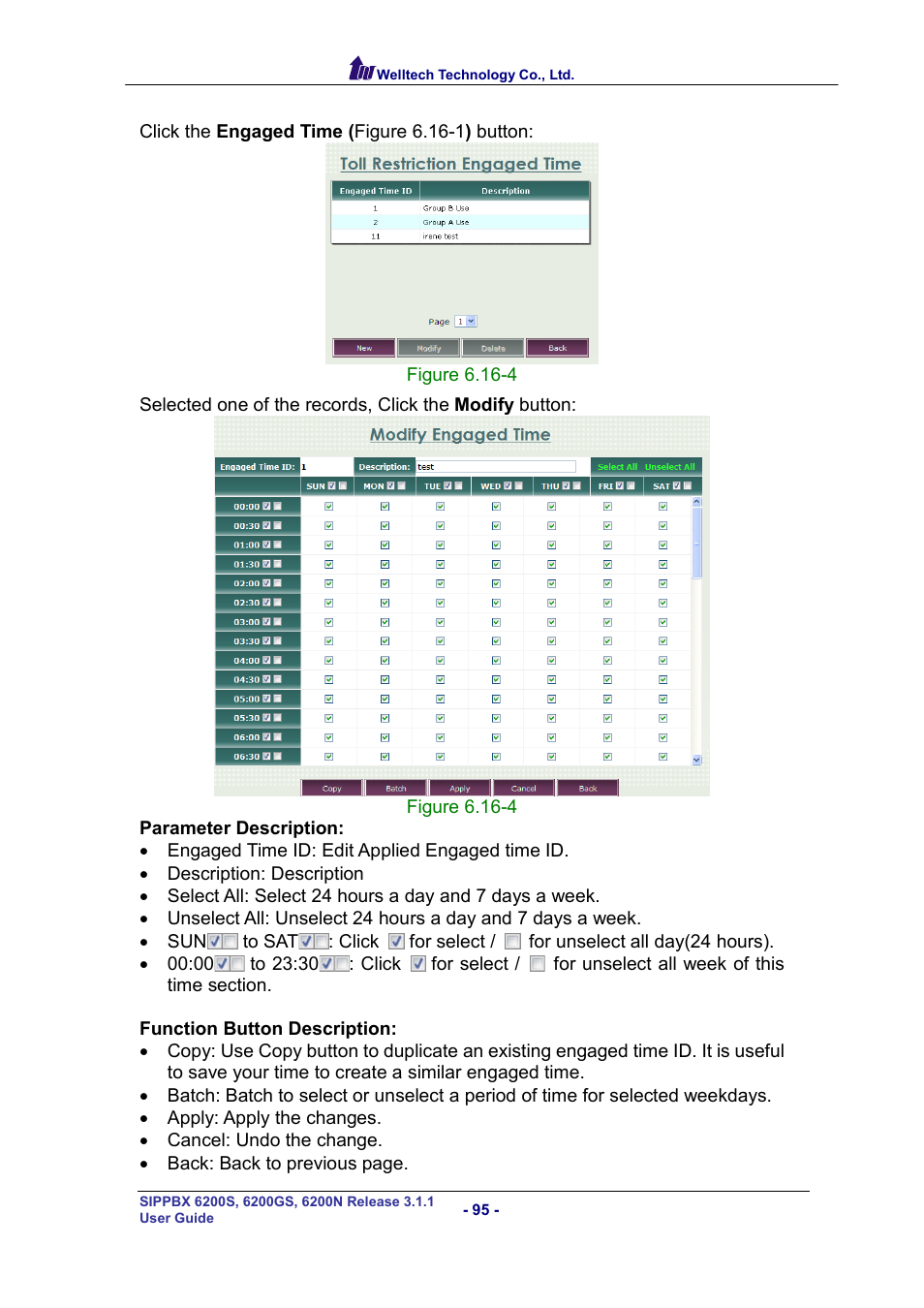 Welltech SIPPBX 6200 V.3.1.1 User Manual | Page 95 / 214