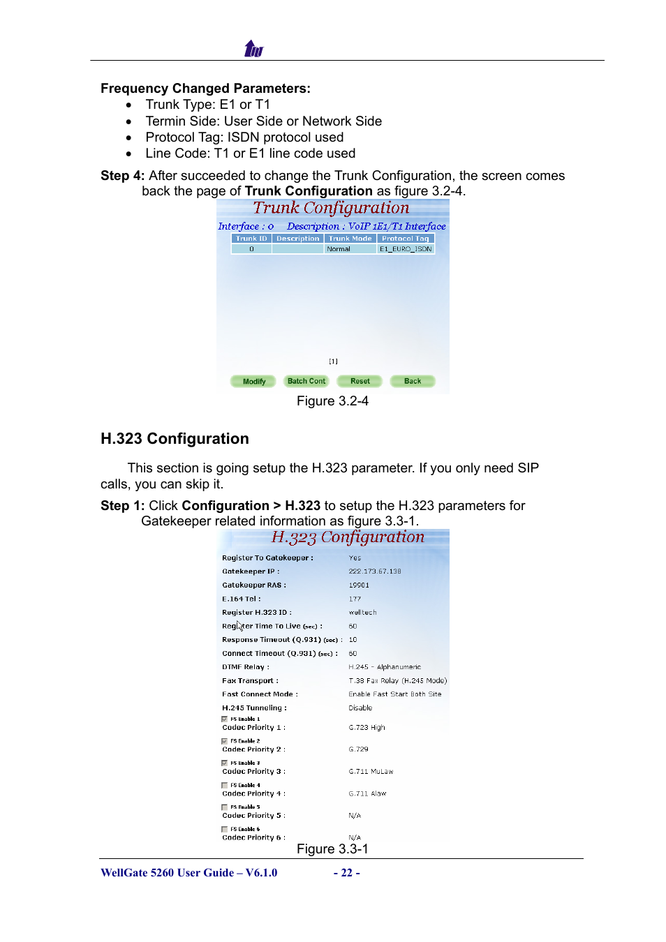 H.323 configuration, H.323, Onfiguration | Welltech WG5260 V.6.1 User Manual | Page 22 / 136
