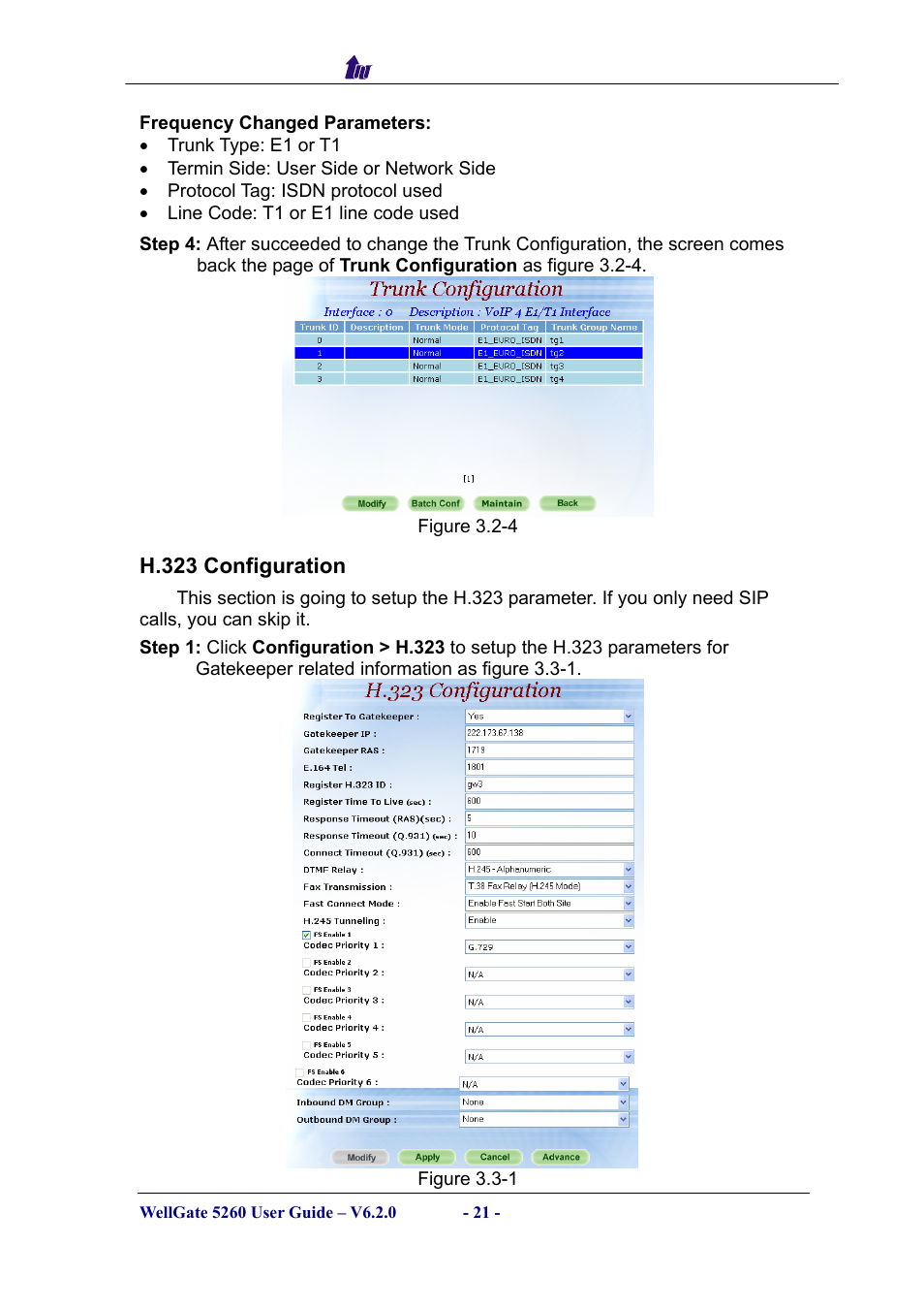 H.323 configuration, H.323, Onfiguration | Welltech WG5260 V.6.2 User Manual | Page 21 / 137