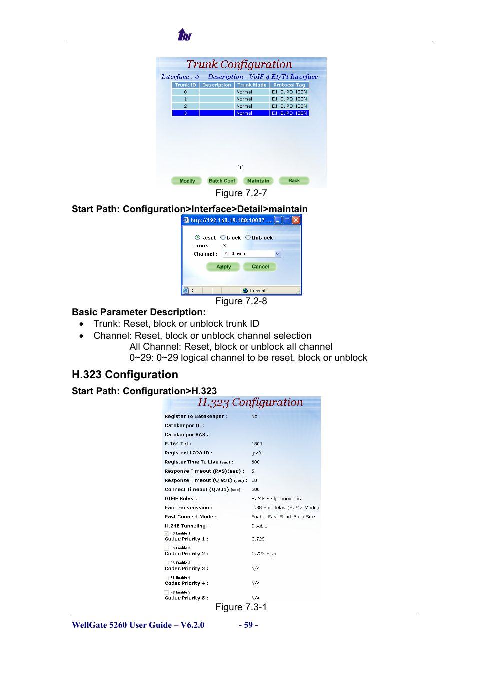 H.323 configuration | Welltech WG5260 V.6.2 User Manual | Page 59 / 137