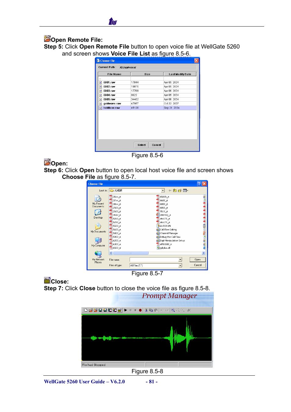 Welltech WG5260 V.6.2 User Manual | Page 81 / 137