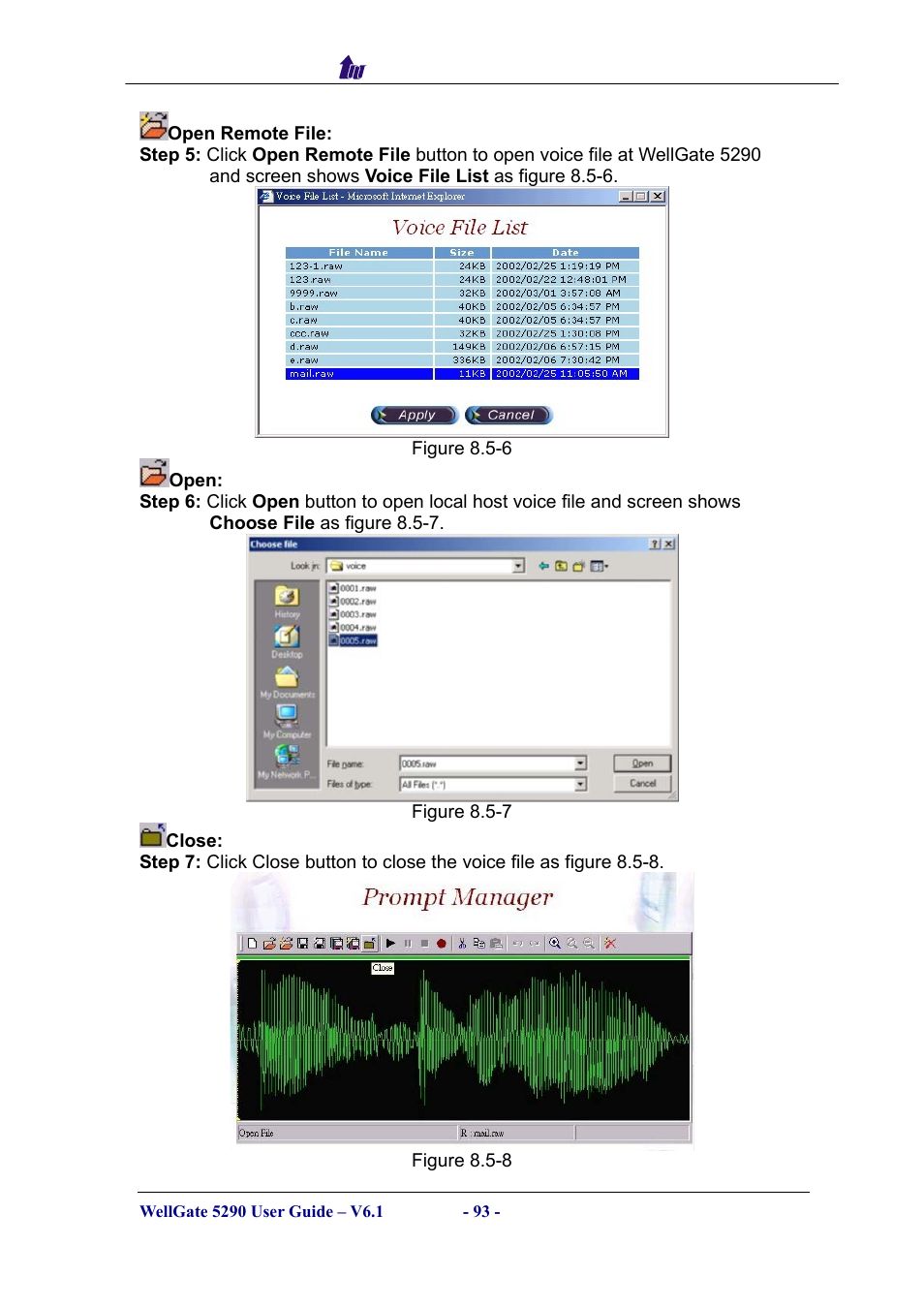 Welltech WG5290 User Manual | Page 93 / 149