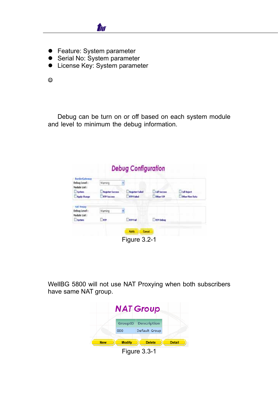 Debug configuration, Nat group, Debug configuration - nat group | Welltech WellBG 5800 V.1.0 User Manual | Page 17 / 46